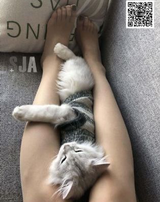 亚洲一线二线三线久久久_BD英语电视剧在线观看