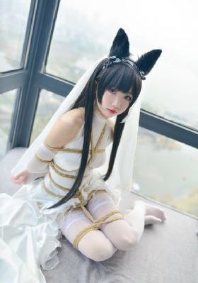 日韩毛片一级_免费在线观看播放